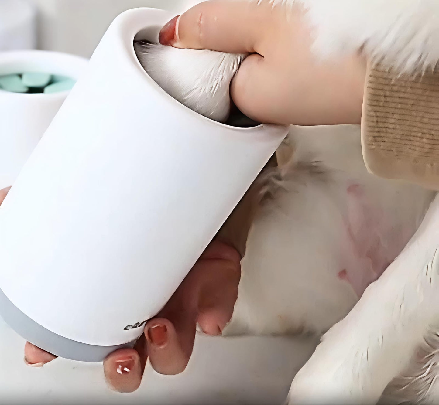 PawFresh Cup